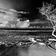 Image for article titled Ask a Pro Photographer How He Made These Sensational Solarised Shots of Paradise